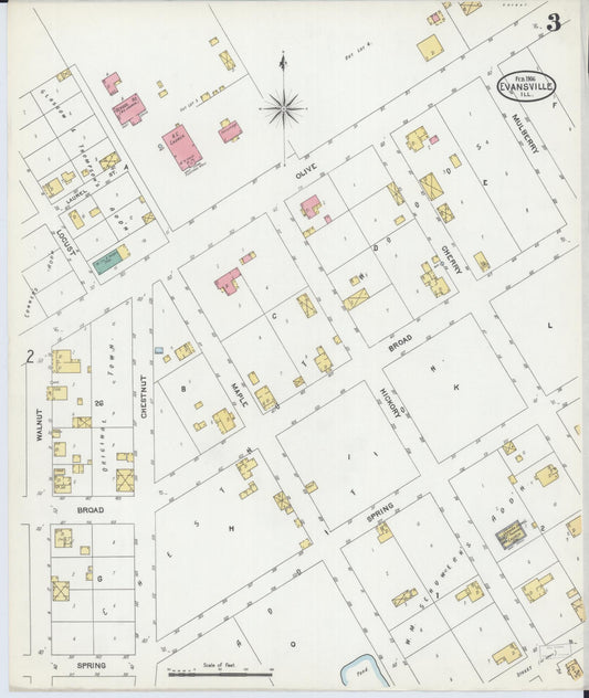 Sanborn Fire Insurance Map from Evansville, Randolph County, Illinois (1906), Sheet #0003 - Historic Sanborn Fire Insurance Map Print, vintage old map wall art, antique decor, genealogy gift, Illinois Illinois map
