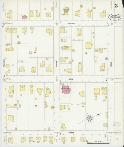 Sanborn Fire Insurance Map from Louisburg, Franklin County, North Carolina (1908), Sheet #0003 - Historic Sanborn Fire Insurance Map Print, vintage old map wall art, antique decor, genealogy gift, North Carolina North Carolina map