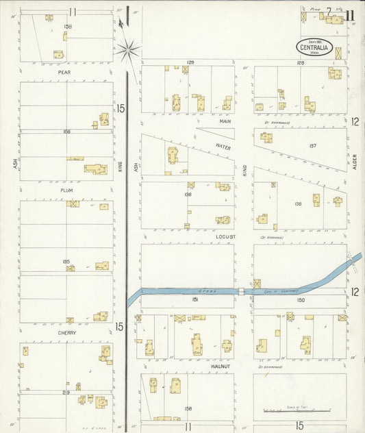 Sanborn Fire Insurance Map from Centralia, Lewis County, Washington (1901), Sheet #0011 - Historic Sanborn Fire Insurance Map Print, vintage old map wall art, antique decor, genealogy gift, Washington Washington map