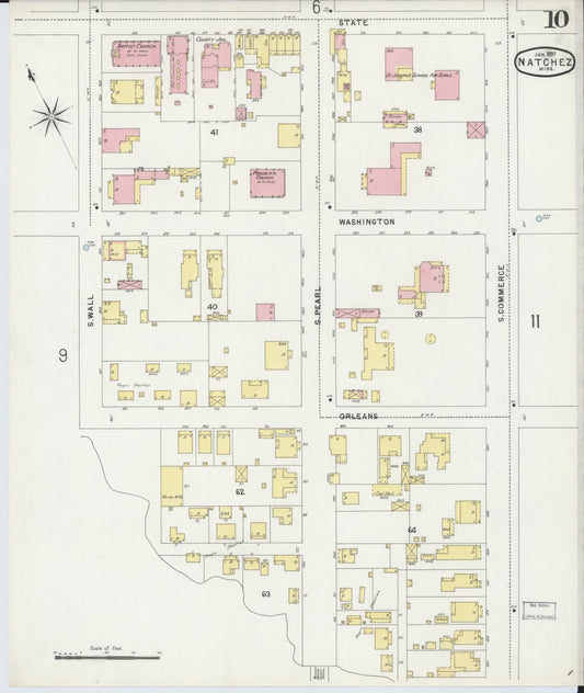 Sanborn Fire Insurance Map from Natchez, Adams County, Mississippi (1897), Sheet #0010 - Historic Sanborn Fire Insurance Map Print, vintage old map wall art, antique decor, genealogy gift, Mississippi Mississippi map