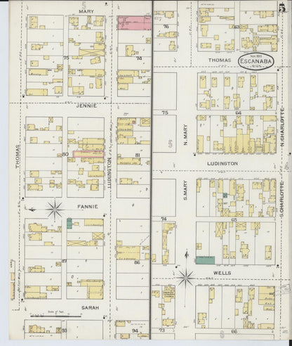 Sanborn Fire Insurance Map from Escanaba, Delta County, Michigan (1893), Sheet #0005 - Historic Sanborn Fire Insurance Map Print, vintage old map wall art, antique decor, genealogy gift, Michigan Michigan map