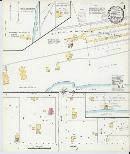 Sanborn Fire Insurance Map from Harrison, Clare County, Michigan (1900), Sheet #0001 - Complete Map Set gallery image, historic Sanborn map, vintage wall art, Michigan Michigan