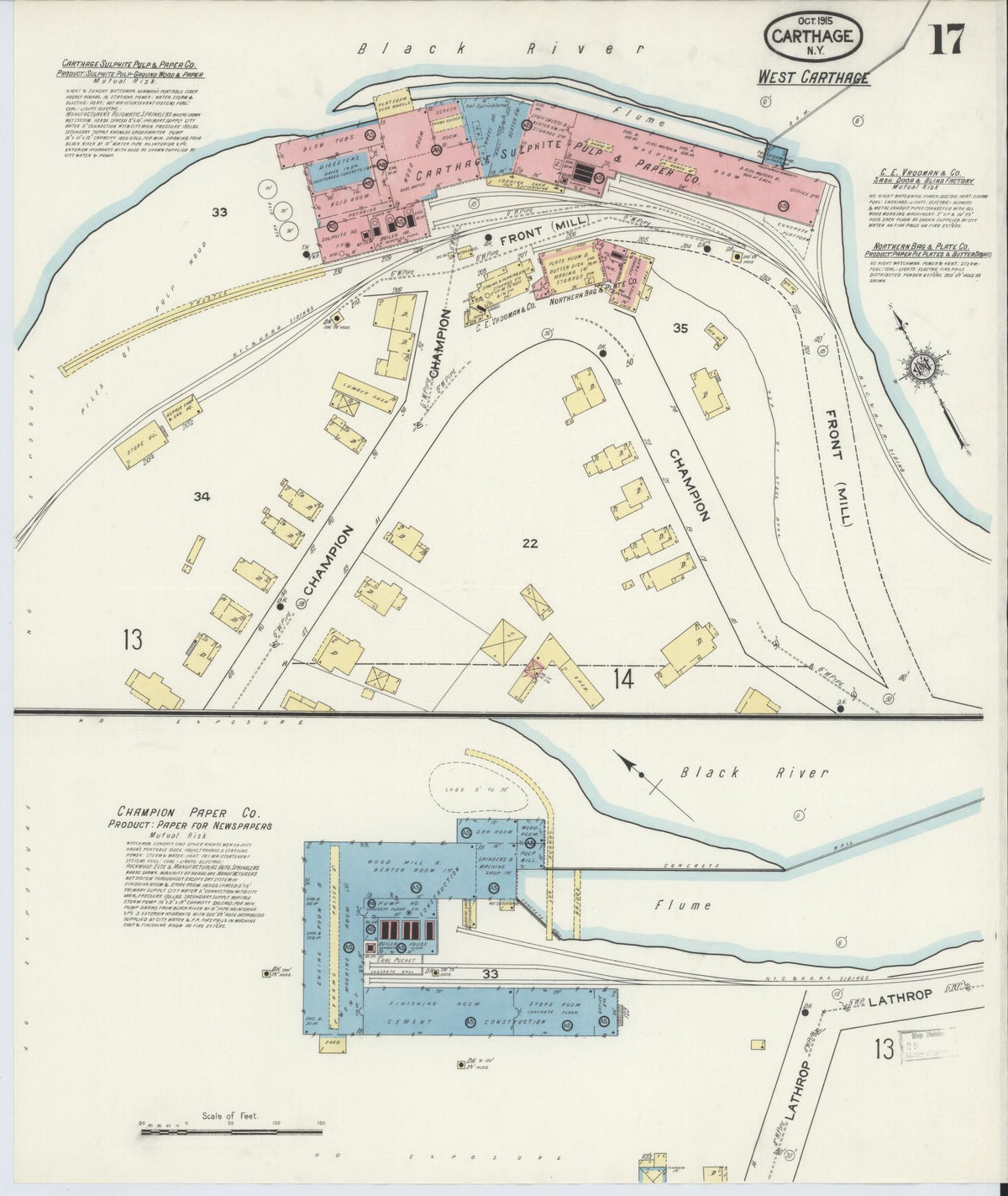 Sanborn Fire Insurance Map from Carthage, Jefferson County, New York (1915), Sheet #0017 - Historic Sanborn Fire Insurance Map Print, vintage old map wall art, antique decor, genealogy gift, New York New York map
