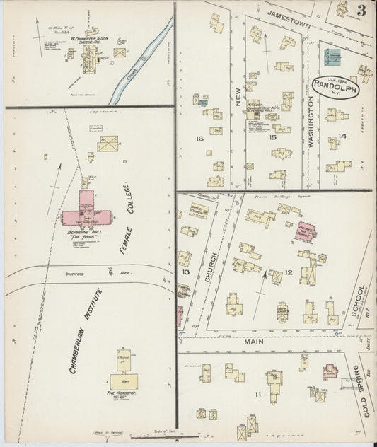 Sanborn Fire Insurance Map from Randolph, Cattaraugus County, New York (1885), Sheet #0003 - Historic Sanborn Fire Insurance Map Print, vintage old map wall art, antique decor, genealogy gift, New York New York map