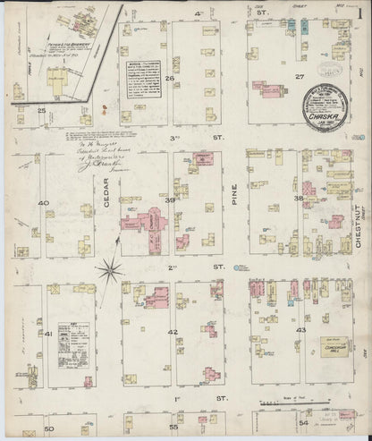 Sanborn Fire Insurance Map from Chaska, Carver County, Minnesota (1885), Sheet #0001 - Historic Sanborn Fire Insurance Map Print, vintage old map wall art, antique decor, genealogy gift, Minnesota Minnesota map