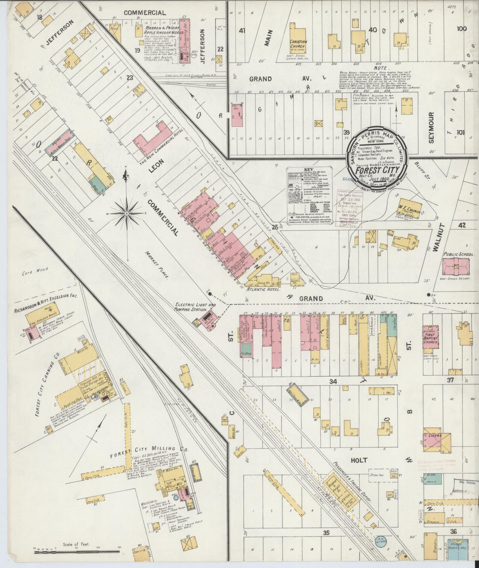 Sanborn Fire Insurance Map from Forest City, Holt County, Missouri (1900), Sheet #0001 - Historic Sanborn Fire Insurance Map Print, vintage old map wall art, antique decor, genealogy gift, Missouri Missouri map