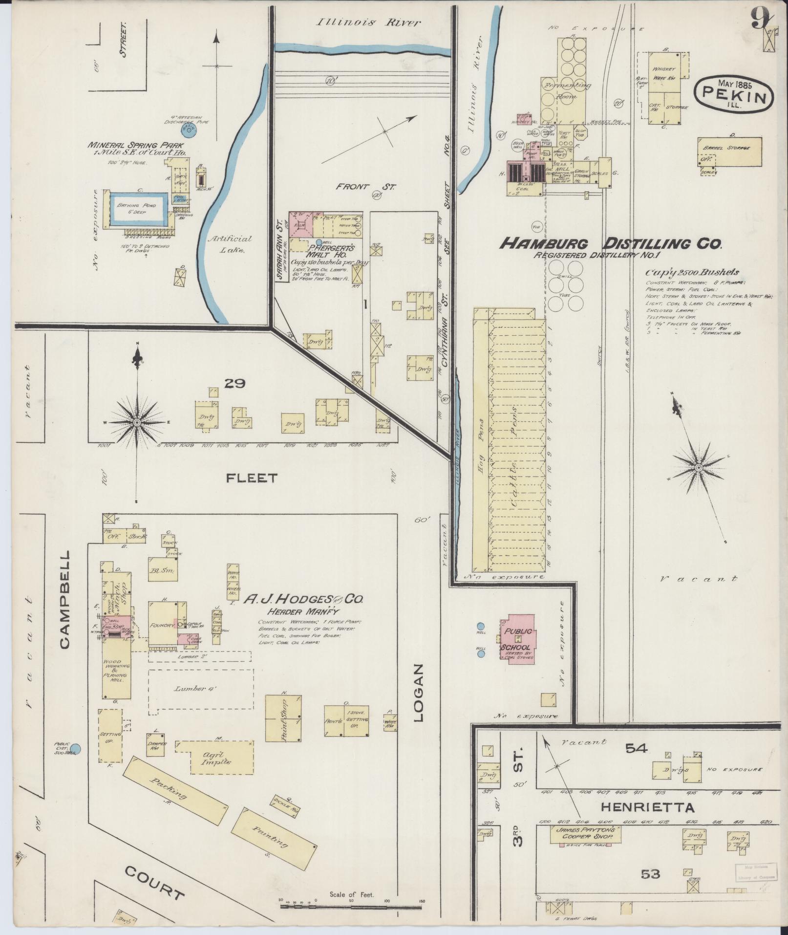Sanborn Fire Insurance Map from Pekin, Tazewell County, Illinois (1885), Sheet #0009 - Historic Sanborn Fire Insurance Map Print, vintage old map wall art, antique decor, genealogy gift, Illinois Illinois map