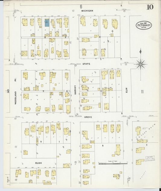 Sanborn Fire Insurance Map from Petoskey, Emmet County, Michigan (1907), Sheet #0010 - Historic Sanborn Fire Insurance Map Print, vintage old map wall art, antique decor, genealogy gift, Michigan Michigan map