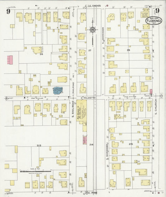 Sanborn Fire Insurance Map from Florence, Florence County, South Carolina (1924), Sheet #0009 - Historic Sanborn Fire Insurance Map Print, vintage old map wall art, antique decor, genealogy gift, South Carolina South Carolina map