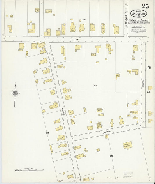 Sanborn Fire Insurance Map from Salisbury, Wicomico County, Maryland (1911), Sheet #0025 - Historic Sanborn Fire Insurance Map Print, vintage old map wall art