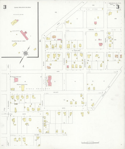 Sanborn Fire Insurance Map from Montevallo, Shelby County, Alabama (1933), Sheet #0003 - Historic Sanborn Fire Insurance Map Print, vintage old map wall art, antique decor, genealogy gift, Alabama Alabama map