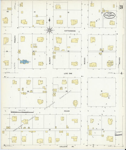Sanborn Fire Insurance Map from Coleman, Coleman County, Texas (1909), Sheet #0003 - Complete Map Set gallery image, historic Sanborn map, vintage wall art, Texas Texas