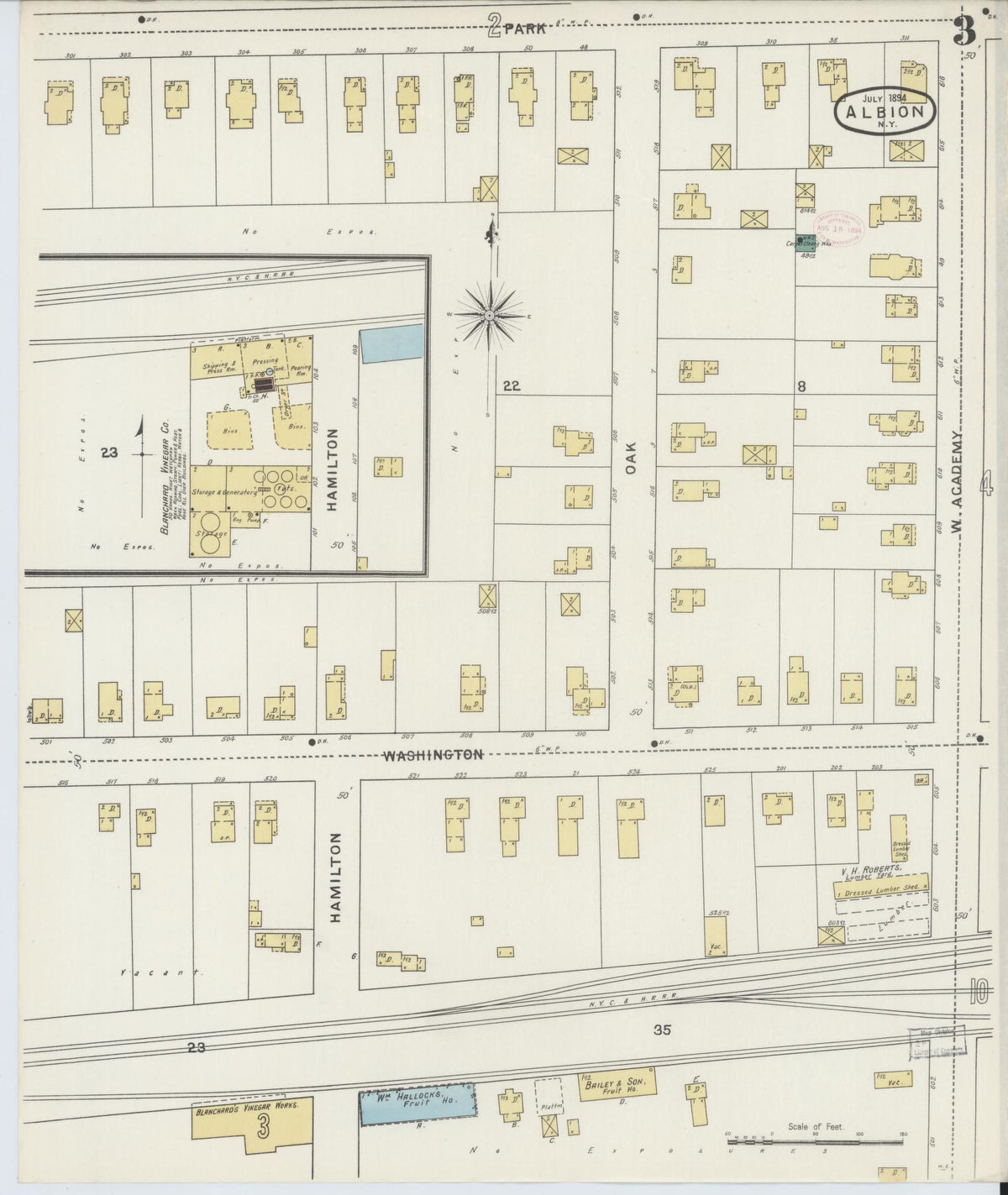 Sanborn Fire Insurance Map from Albion, Orleans County, New York (1894), Sheet #0003 - Complete Map Set gallery image, historic Sanborn map, vintage wall art, New York New York
