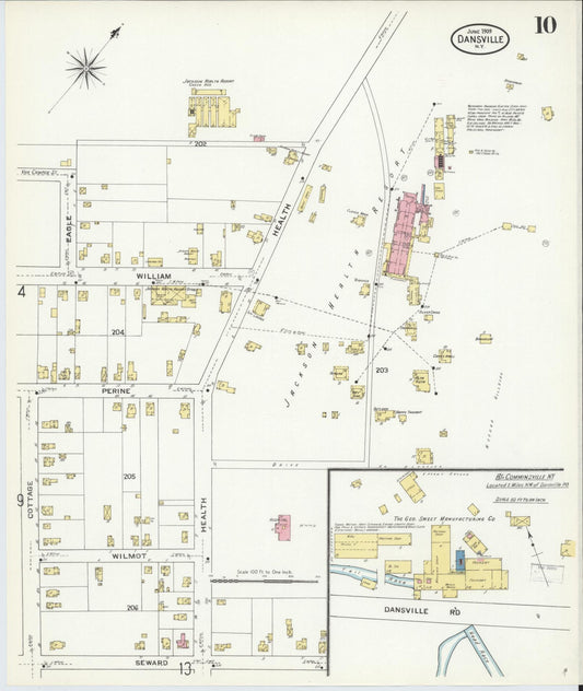 Sanborn Fire Insurance Map from Dansville, Livingston County, New York (1909), Sheet #0010 - Historic Sanborn Fire Insurance Map Print, vintage old map wall art, antique decor, genealogy gift, New York New York map