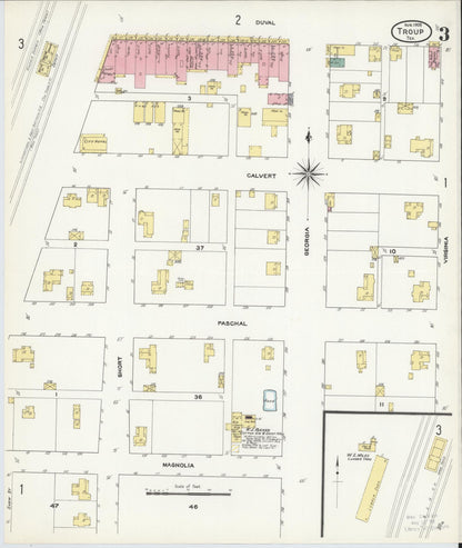 Sanborn Fire Insurance Map from Troup, Smith County, Texas (1909), Sheet #0003 - Historic Sanborn Fire Insurance Map Print, vintage old map wall art, antique decor, genealogy gift, Texas Texas map