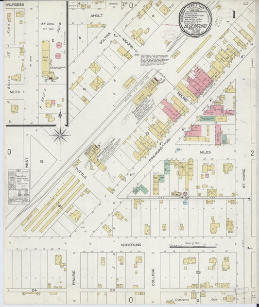Sanborn Fire Insurance Map from Blue Mound, Macon County, Illinois (1899), Sheet #0001 - Complete Map Set gallery image, historic Sanborn map, vintage wall art, Illinois Illinois
