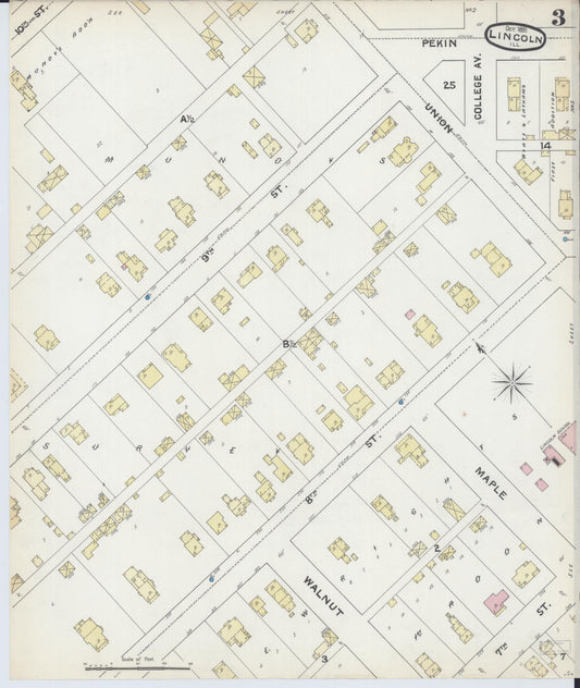 Sanborn Fire Insurance Map from Lincoln, Logan County, Illinois (1891), Sheet #0003 - Historic Sanborn Fire Insurance Map Print, vintage old map wall art, antique decor, genealogy gift, Illinois Illinois map