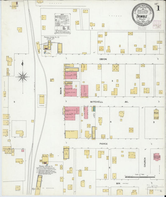 Sanborn Fire Insurance Map from Trimble, Dyer County, Tennessee (1905), Sheet #0001 - Historic Sanborn Fire Insurance Map Print, vintage old map wall art, antique decor, genealogy gift, Tennessee Tennessee map