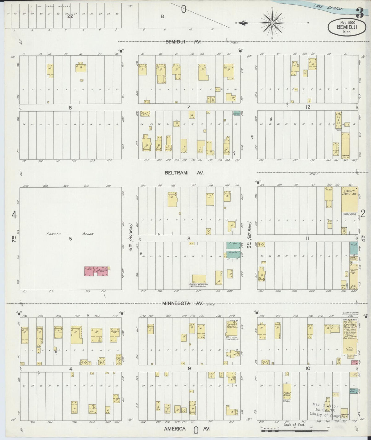 Sanborn Fire Insurance Map from Bemidji, Beltrami County, Minnesota (1900), Sheet #0003 - Complete Map Set gallery image, historic Sanborn map, vintage wall art, Minnesota Minnesota