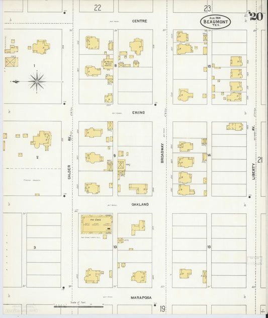 Sanborn Fire Insurance Map from Beaumont, Jefferson County, Texas (1904), Sheet #0020 - Historic Sanborn Fire Insurance Map Print, vintage old map wall art, antique decor, genealogy gift, Texas Texas map