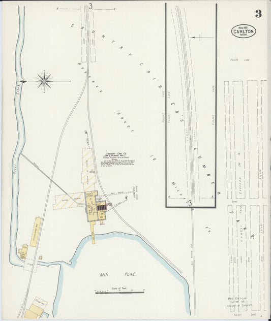 Sanborn Fire Insurance Map from Carlton, Carlton County, Minnesota (1901), Sheet #0003 - Historic Sanborn Fire Insurance Map Print, vintage old map wall art, antique decor, genealogy gift, Minnesota Minnesota map