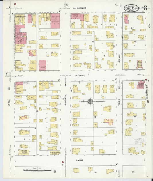 Sanborn Fire Insurance Map from Reed City, Osceola County, Michigan (1917), Sheet #0003 - Historic Sanborn Fire Insurance Map Print, vintage old map wall art, antique decor, genealogy gift, Michigan Michigan map