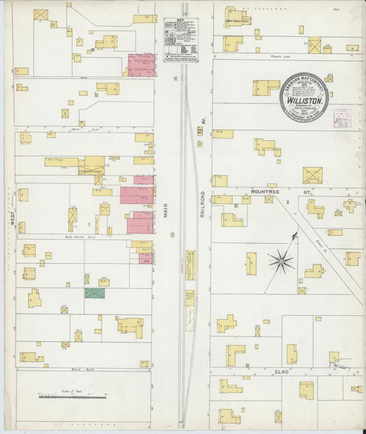 Sanborn Fire Insurance Map from Williston, Barnwell County, South Carolina (1905), Sheet #0001 - Historic Sanborn Fire Insurance Map Print, vintage old map wall art, antique decor, genealogy gift, South Carolina South Carolina map