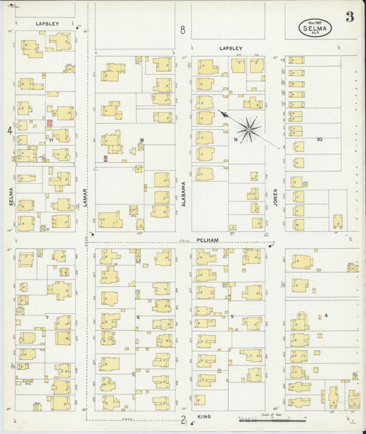 Sanborn Fire Insurance Map from Selma, Dallas County, Alabama (1907), Sheet #0003 - Historic Sanborn Fire Insurance Map Print, vintage old map wall art, antique decor, genealogy gift, Alabama Alabama map