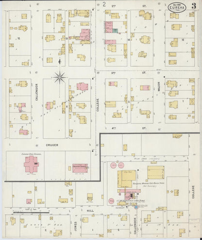 Sanborn Fire Insurance Map from Eureka, Woodford County, Illinois (1898), Sheet #0003 - Historic Sanborn Fire Insurance Map Print, vintage old map wall art, antique decor, genealogy gift, Illinois Illinois map