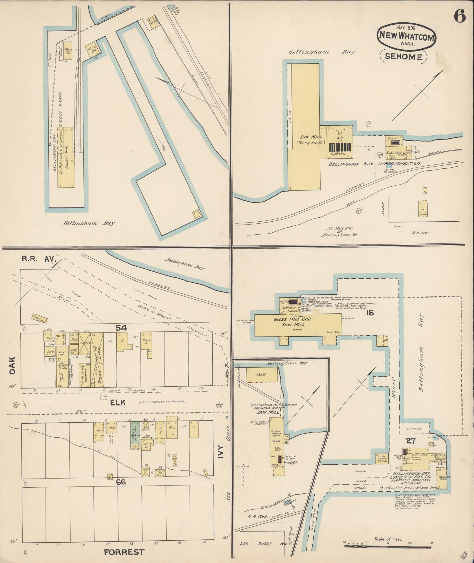 Sanborn Fire Insurance Map from New Whatcom, Whatcom County, Washington (1890), Sheet #0006 - Historic Sanborn Fire Insurance Map Print, vintage old map wall art, antique decor, genealogy gift, Washington Washington map