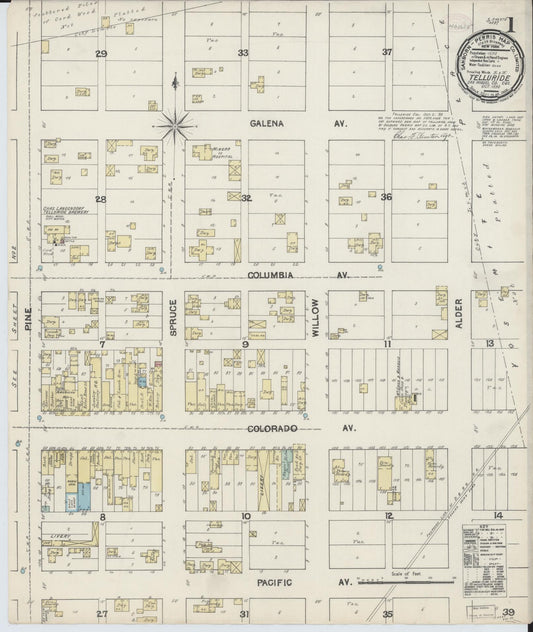 Sanborn Fire Insurance Map from Telluride, San Miguel County, Colorado (1890), Sheet #0001 - Historic Sanborn Fire Insurance Map Print, vintage old map wall art, antique decor, genealogy gift, Colorado Colorado map