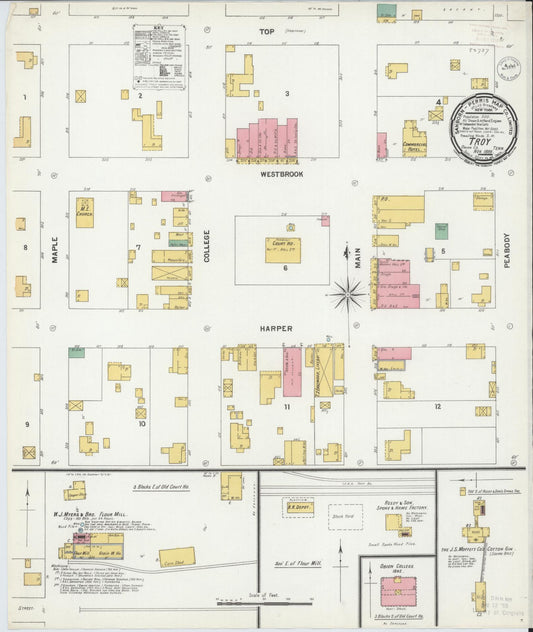 Sanborn Fire Insurance Map from Troy, Obion County, Tennessee (1899), Sheet #0001 - Historic Sanborn Fire Insurance Map Print, vintage old map wall art, antique decor, genealogy gift, Tennessee Tennessee map