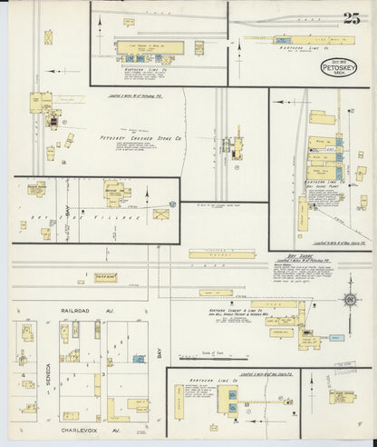 Sanborn Fire Insurance Map from Petoskey, Emmet County, Michigan (1913), Sheet #0025 - Historic Sanborn Fire Insurance Map Print, vintage old map wall art, antique decor, genealogy gift, Michigan Michigan map