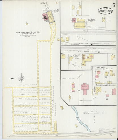 Sanborn Fire Insurance Map from Catlettsburg, Boyd County, Kentucky (1895), Sheet #0005 - Complete Map Set gallery image, historic Sanborn map, vintage wall art, Kentucky Kentucky