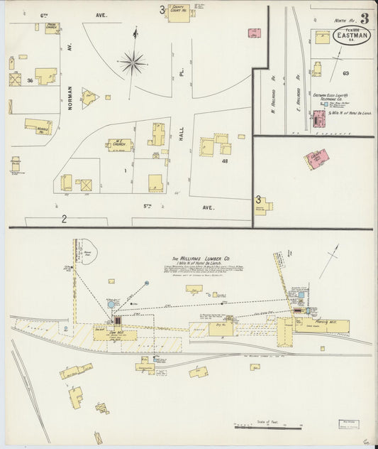 Sanborn Fire Insurance Map from Eastman, Dodge County, Georgia (1898), Sheet #0003 - Historic Sanborn Fire Insurance Map Print, vintage old map wall art, antique decor, genealogy gift, Georgia Georgia map