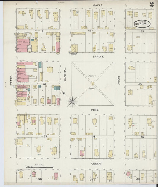 Sanborn Fire Insurance Map from Nokomis, Montgomery County, Illinois (1893), Sheet #0002 - Historic Sanborn Fire Insurance Map Print, vintage old map wall art, antique decor, genealogy gift, Illinois Illinois map