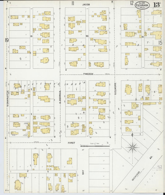 Sanborn Fire Insurance Map from Escanaba, Delta County, Michigan (1899), Sheet #0013 - Historic Sanborn Fire Insurance Map Print, vintage old map wall art, antique decor, genealogy gift, Michigan Michigan map