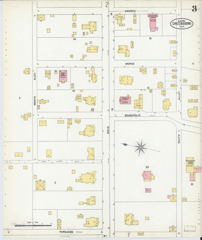 Sanborn Fire Insurance Map from Greensboro, Hale County, Alabama (1903), Sheet #0003 - Complete Map Set gallery image, historic Sanborn map, vintage wall art, Alabama Alabama