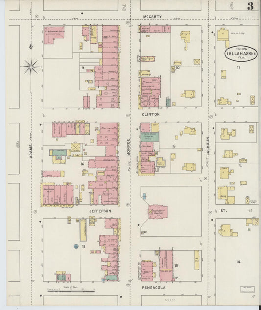 Sanborn Fire Insurance Map from Tallahassee, Leon County, Florida (1895), Sheet #0003 - Historic Sanborn Fire Insurance Map Print, vintage old map wall art, antique decor, genealogy gift, Florida Florida map