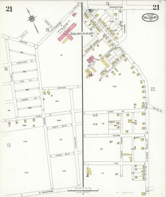 Sanborn Fire Insurance Map from Salisbury, Wicomico County, Maryland (1923), Sheet #0021 - Historic Sanborn Fire Insurance Map Print, vintage old map wall art, antique decor, genealogy gift, Maryland Maryland map