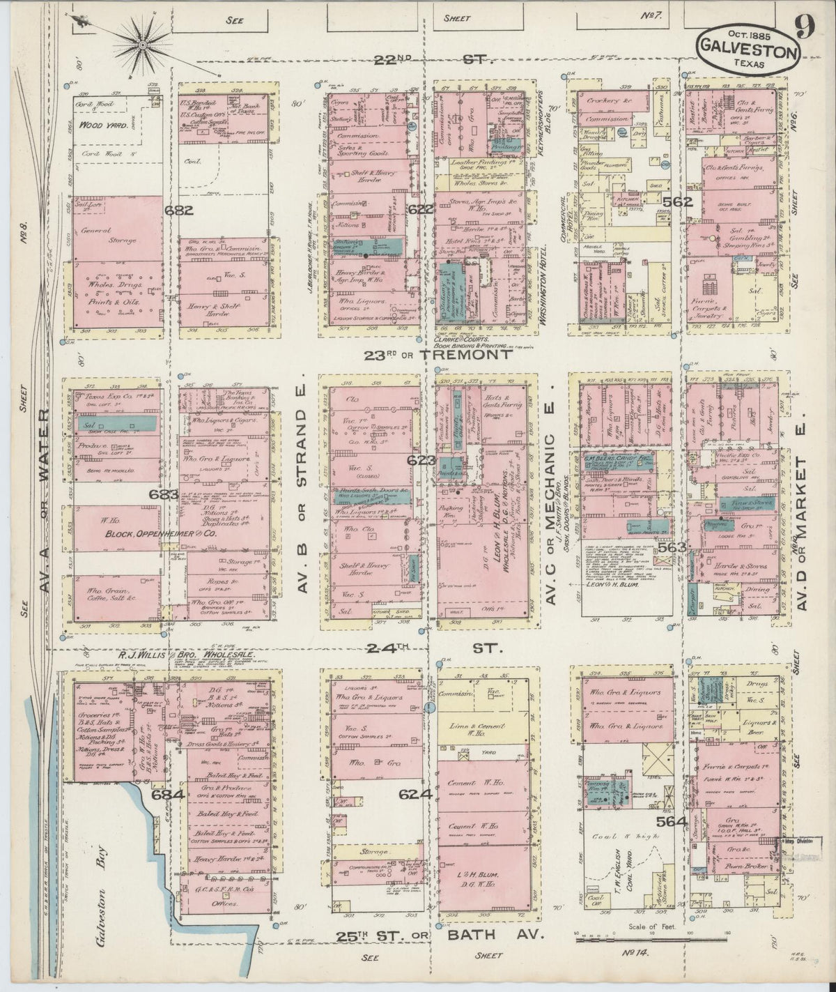 Sanborn Fire Insurance Map from Galveston, Galveston County, Texas (1885), Sheet #0009 - Historic Sanborn Fire Insurance Map Print, vintage old map wall art, antique decor, genealogy gift, Texas Texas map