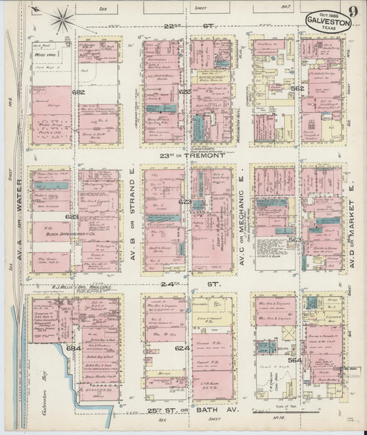 Sanborn Fire Insurance Map from Galveston, Galveston County, Texas (1885), Sheet #0009 - Historic Sanborn Fire Insurance Map Print, vintage old map wall art, antique decor, genealogy gift, Texas Texas map