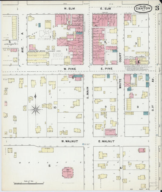 Sanborn Fire Insurance Map from Canton, Fulton County, Illinois (1891), Sheet #0003 - Historic Sanborn Fire Insurance Map Print, vintage old map wall art, antique decor, genealogy gift, Illinois Illinois map