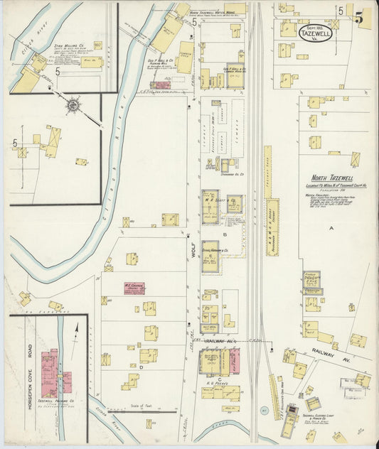 Sanborn Fire Insurance Map from Tazewell, Tazewell County, Virginia (1913), Sheet #0005 - Historic Sanborn Fire Insurance Map Print, vintage old map wall art, antique decor, genealogy gift, Virginia Virginia map