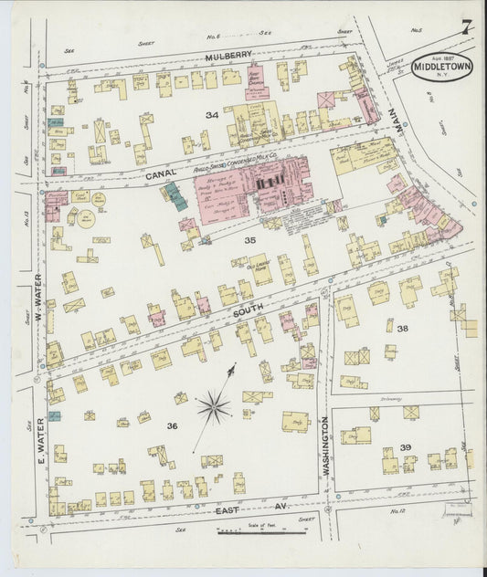 Sanborn Fire Insurance Map from Middletown, Orange County, New York (1887), Sheet #0006 - Historic Sanborn Fire Insurance Map Print, vintage old map wall art, antique decor, genealogy gift, New York New York map