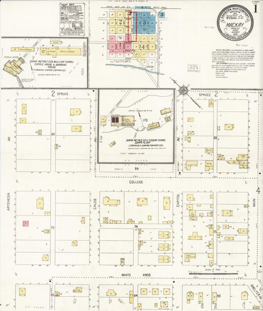 Sanborn Fire Insurance Map from Mackay, Custer County, Idaho (1921), Sheet #0001 - Historic Sanborn Fire Insurance Map Print, vintage old map wall art, antique decor, genealogy gift, Idaho Idaho map
