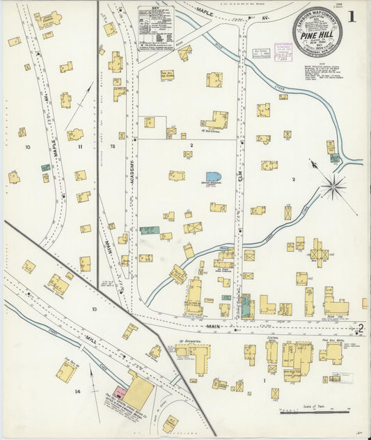 Sanborn Fire Insurance Map from Pine Hill, Ulster County, New York. (1904), Sheet 1 – Historic Sanborn Fire Insurance Map Print