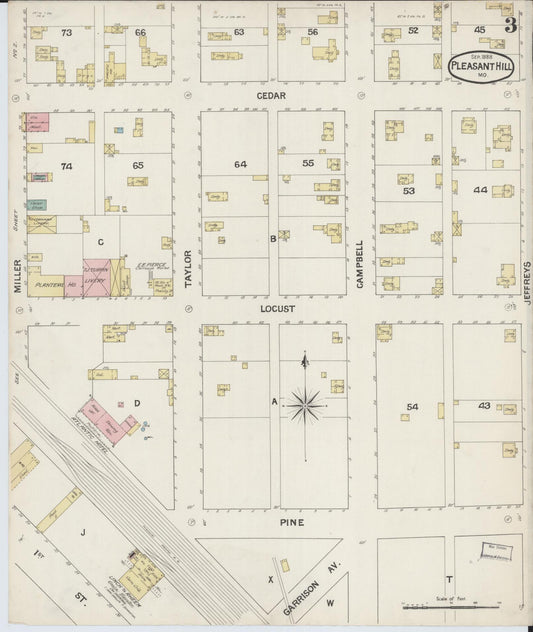 Sanborn Fire Insurance Map from Pleasant Hill, Cass County, Missouri (1888), Sheet #0003 - Historic Sanborn Fire Insurance Map Print, vintage old map wall art, antique decor, genealogy gift, Missouri Missouri map