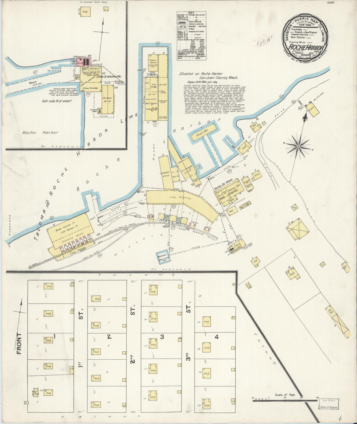Sanborn Fire Insurance Map from Roche Harbor, San Juan County, Washington (1891), Sheet #0001 - Historic Sanborn Fire Insurance Map Print, vintage old map wall art, antique decor, genealogy gift, Washington Washington map