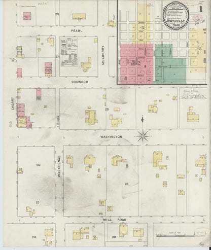 Sanborn Fire Insurance Map from Monticello, Jefferson County, Florida (1895), Sheet #0001 - Historic Sanborn Fire Insurance Map Print, vintage old map wall art, antique decor, genealogy gift, Florida Florida map